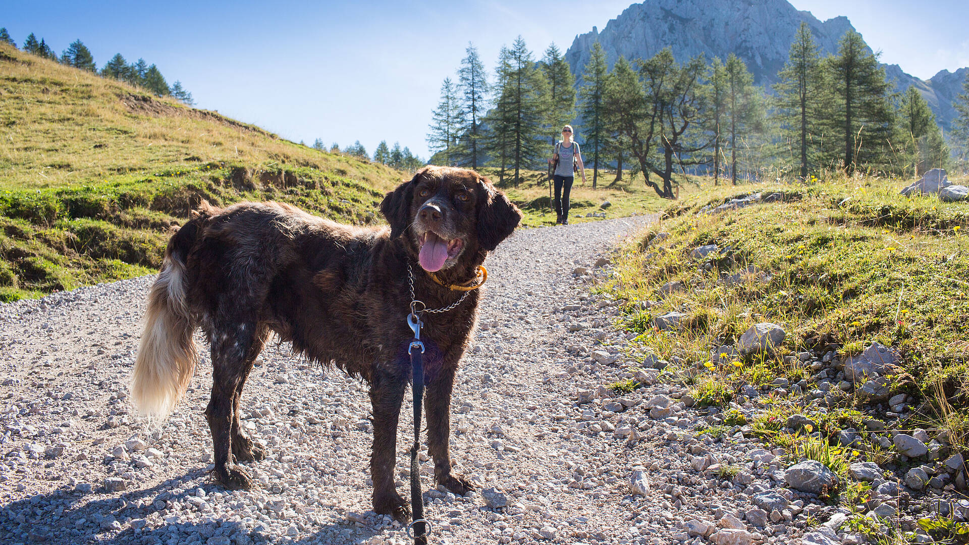 Wanderung mit Hund zur Klagenfurter Hütte