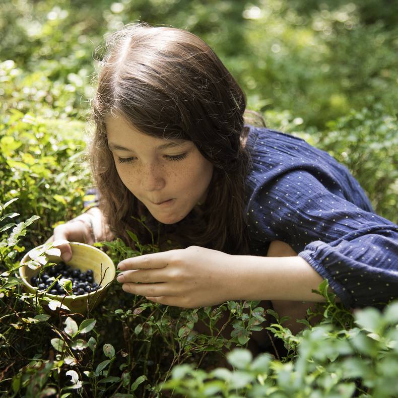 Geschmack der Kindheit - Beeren pflücken