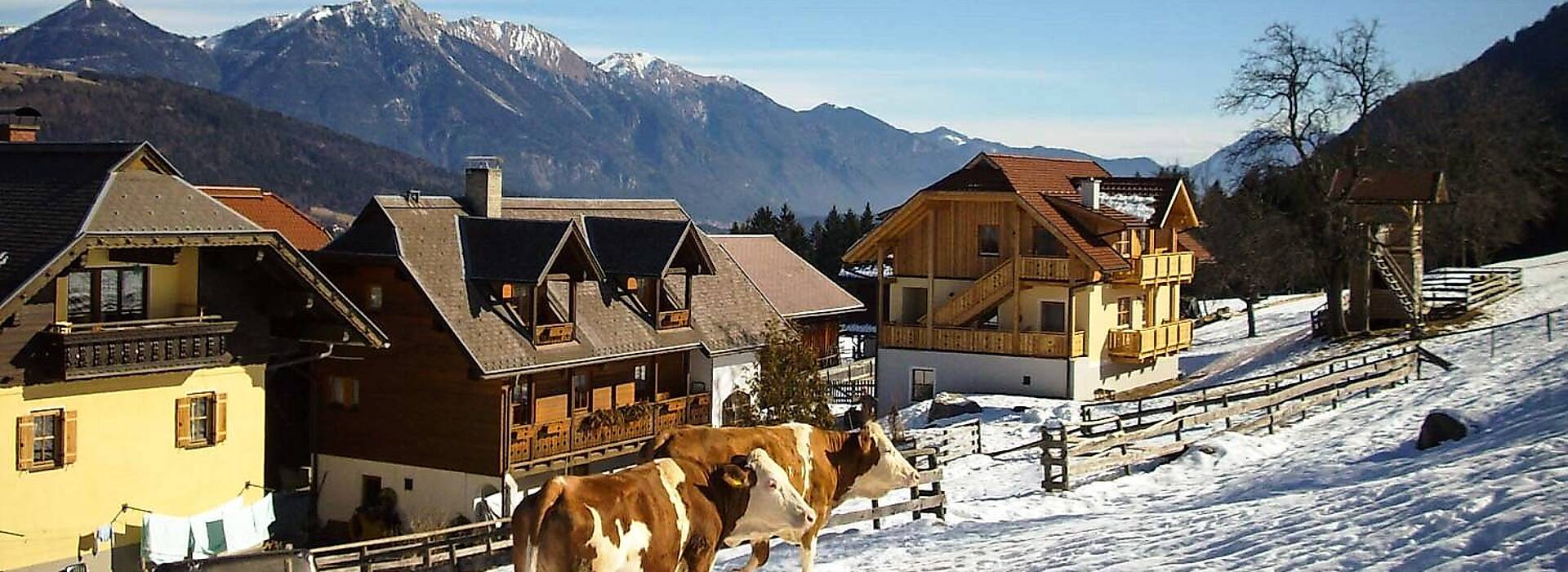 Urlaub am Bauernhof im Winter am Schönauerhof am Nassfeld in Kärnten