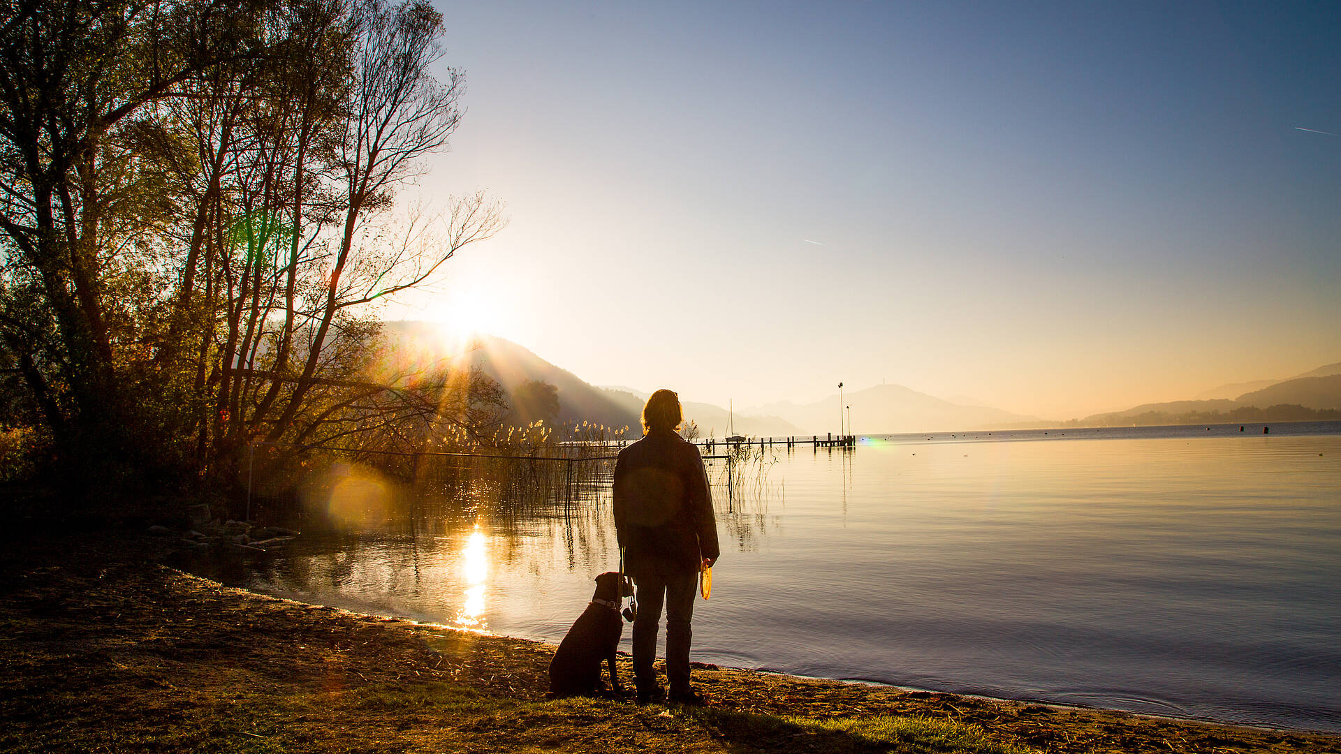 Mit dem Hund am Ufer des Wörthersees