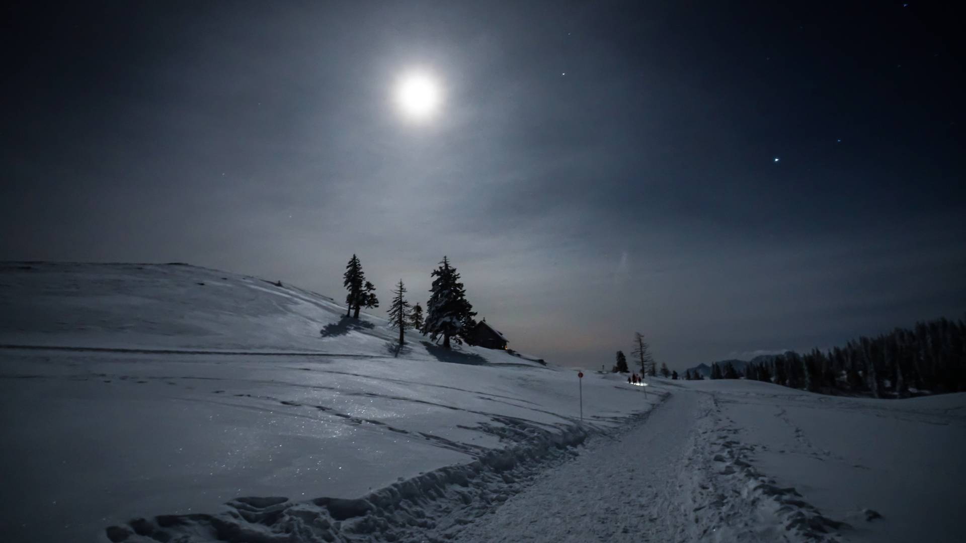 Geführte Vollmond-Schneeschuhwanderung in Kärnten - im Naturpark Dobratsch.