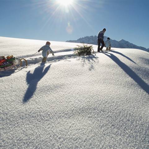 Die ganze Familie hat Spaß beim Christbaum holen mit dem Schlitten im Schnee.