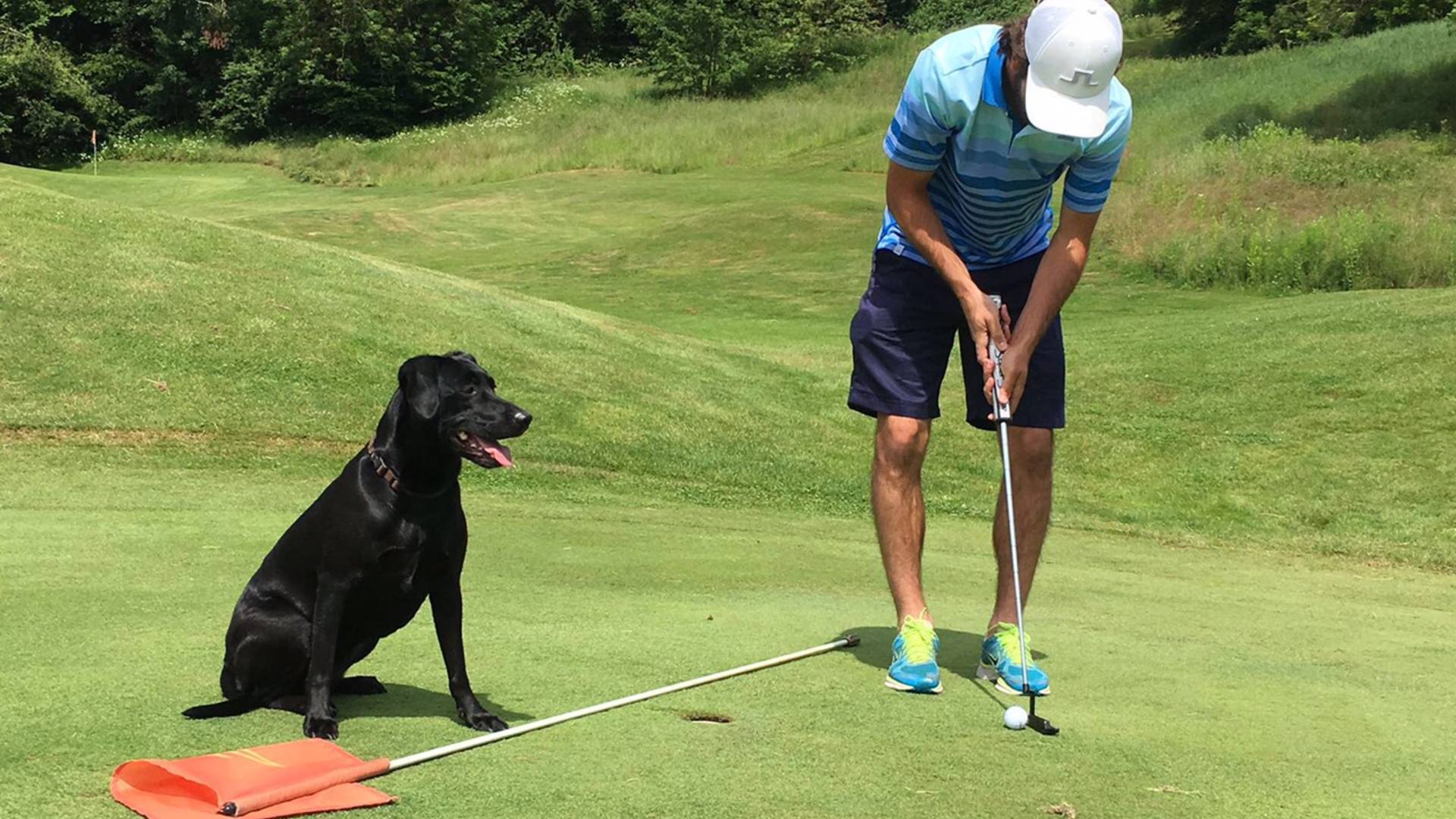 Golfen mit Hund