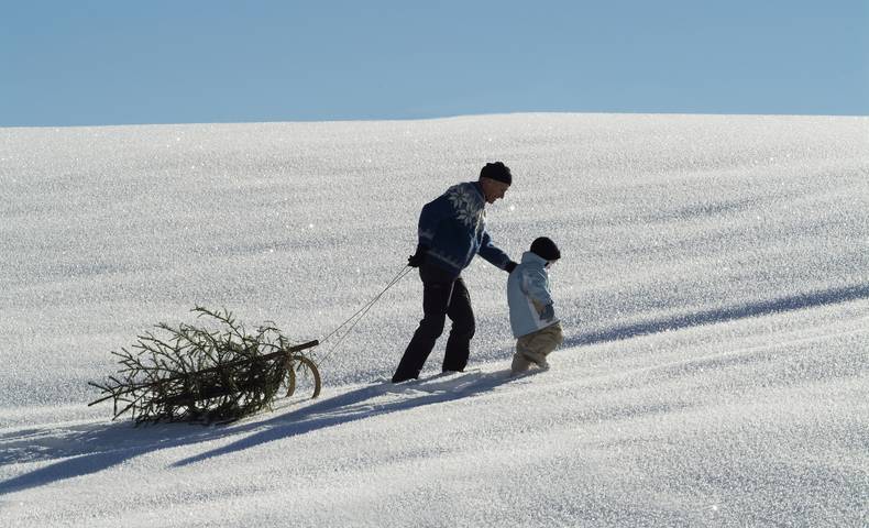 Die ganze Familie hat Spaß beim Christbaum holen mit dem Schlitten im Schnee.