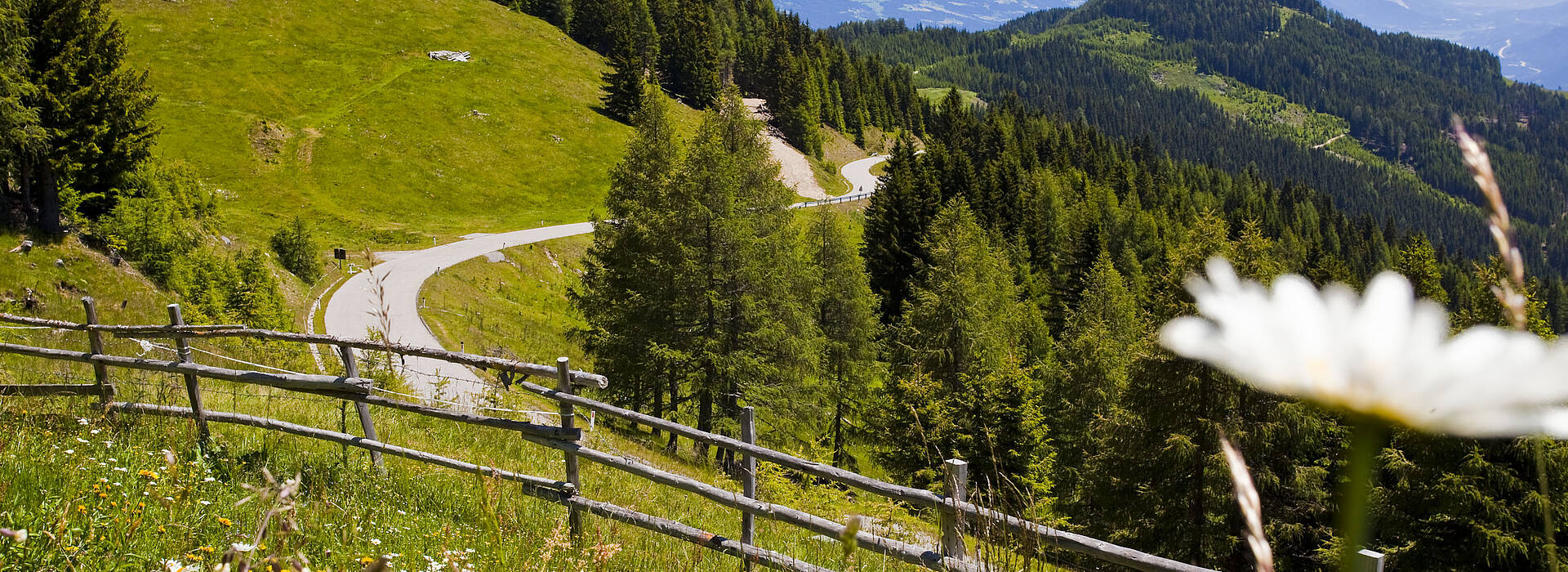 Goldeck Panoramastrasse 