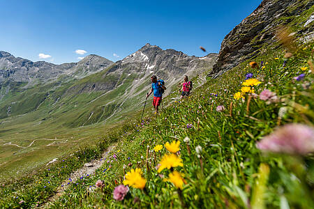 Wandel door het nationaal park tijdens de Alpe-Adria trail