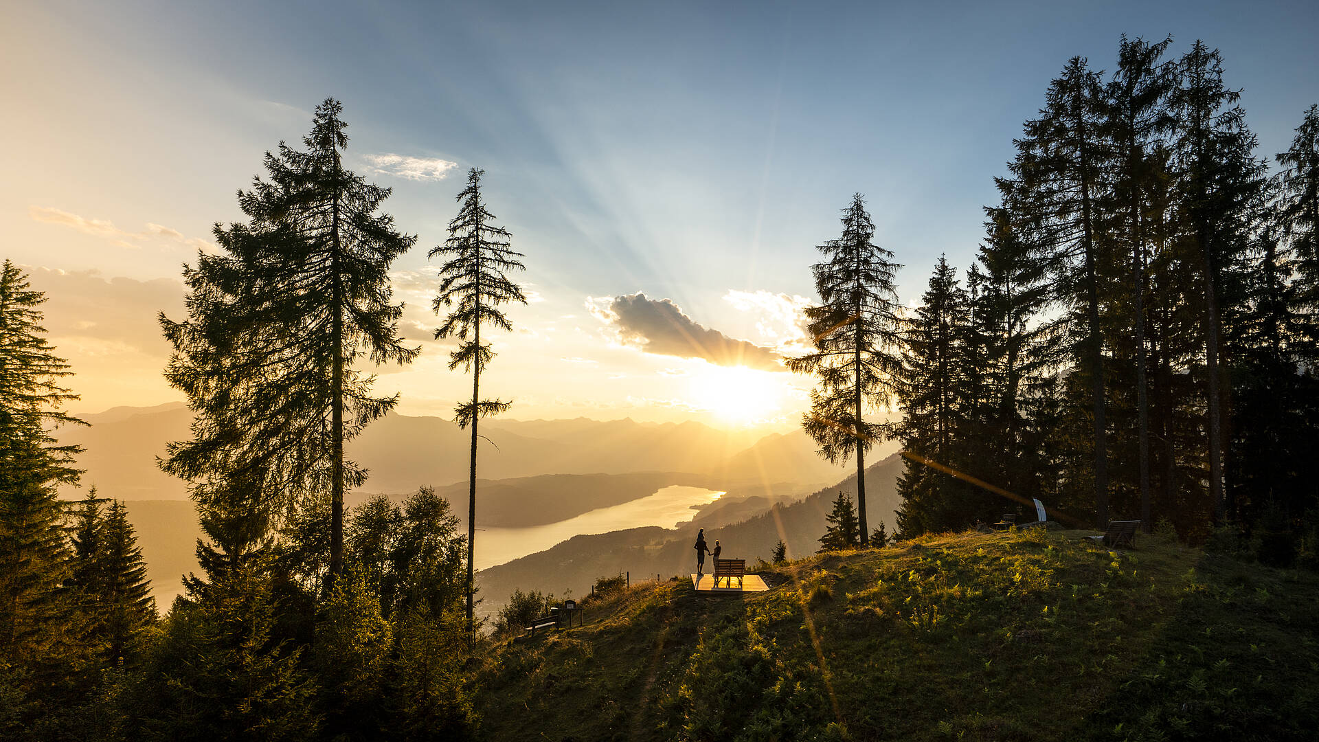 MTG Slowtrail Mirnock 