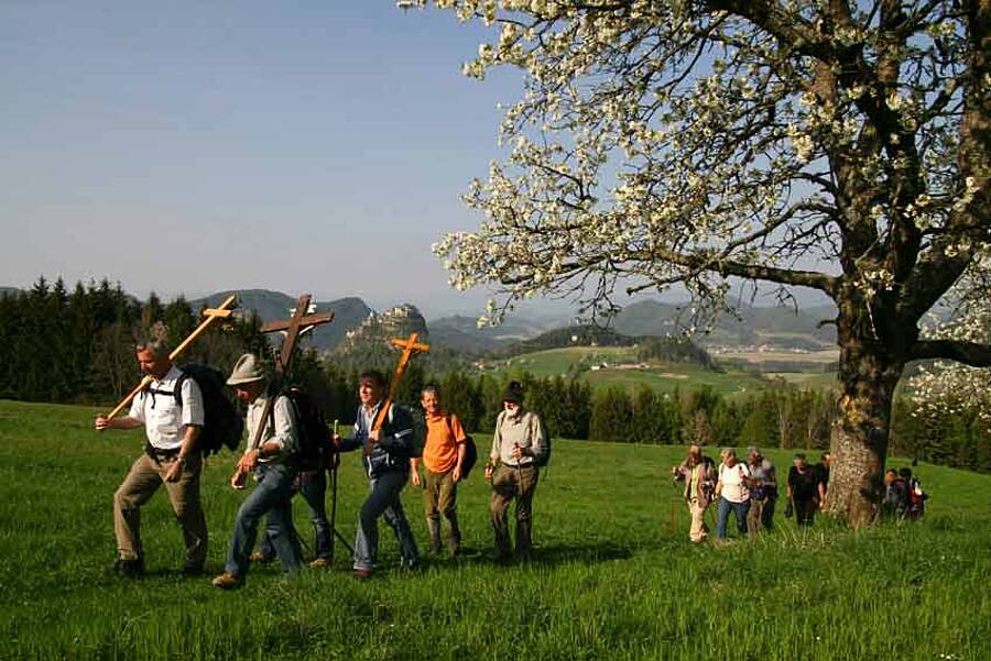 Social Vierbergelauf Wieser