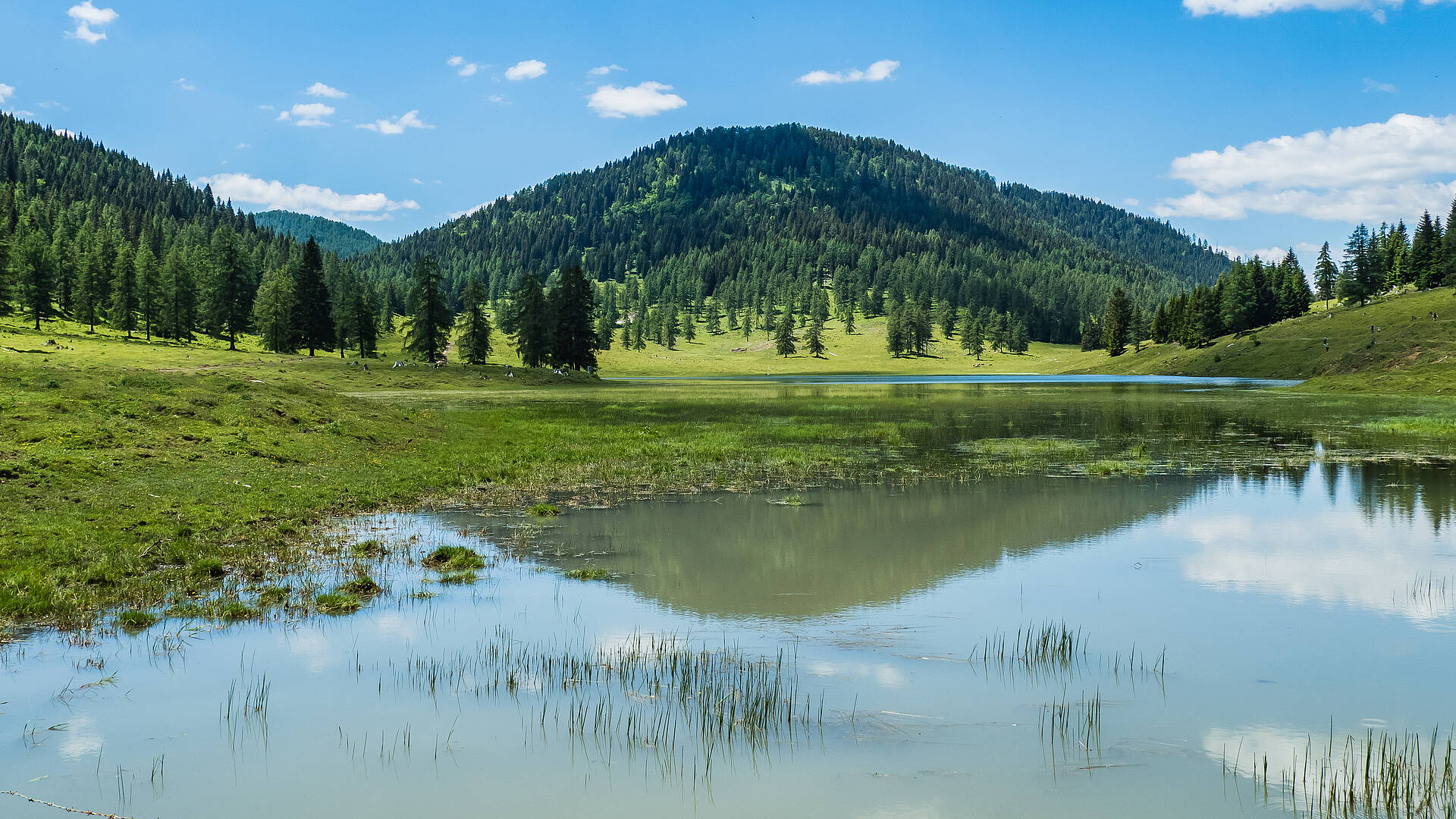 Karnische Milchstrasse Egger Almsee