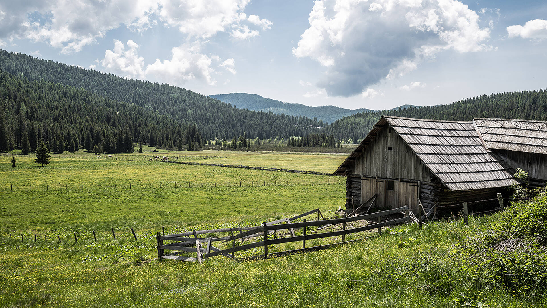 Ein Bergsommer wie damals Hochmoor-Huette