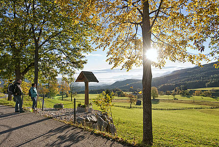 Dobratsch wandelroute: 68 km