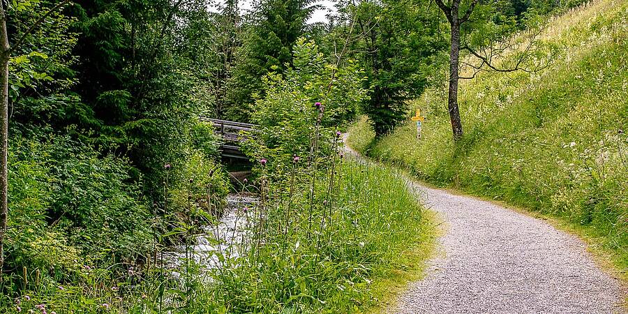 Auf Schmugglerwegen durch Bad Kleinkirchheim Twengbach