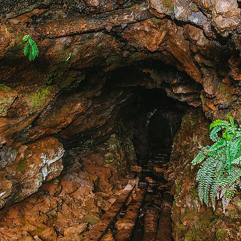 Auf den Spuren des Bergbaus in den Nockbergen Eisenerzbau