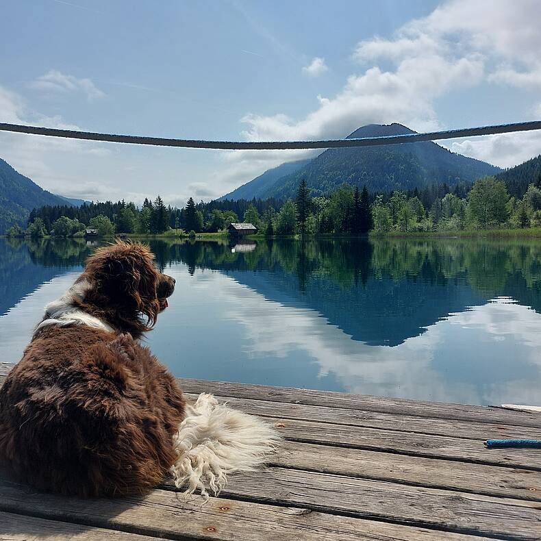 Genusstour am Weissensee