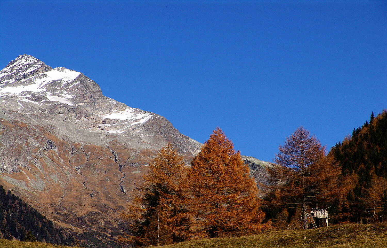 Ankogelspitze in Mallnitz