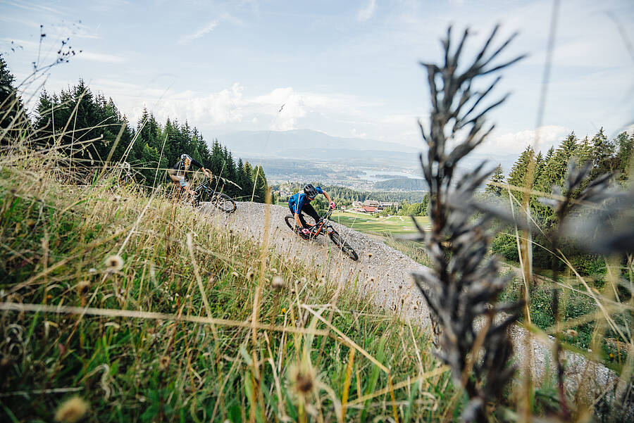 Lake.bike Flowgartner Trail