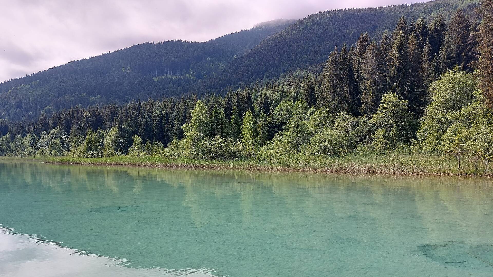 Genusstour am Weissensee Quellen