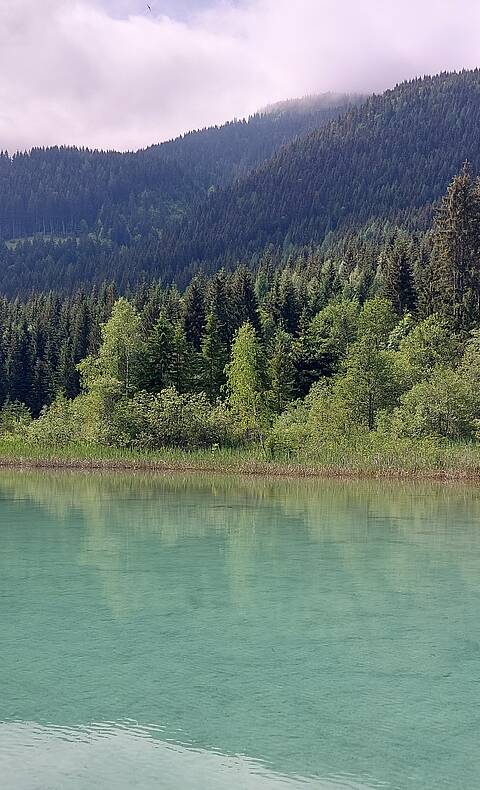 Genusstour am Weissensee Quellen