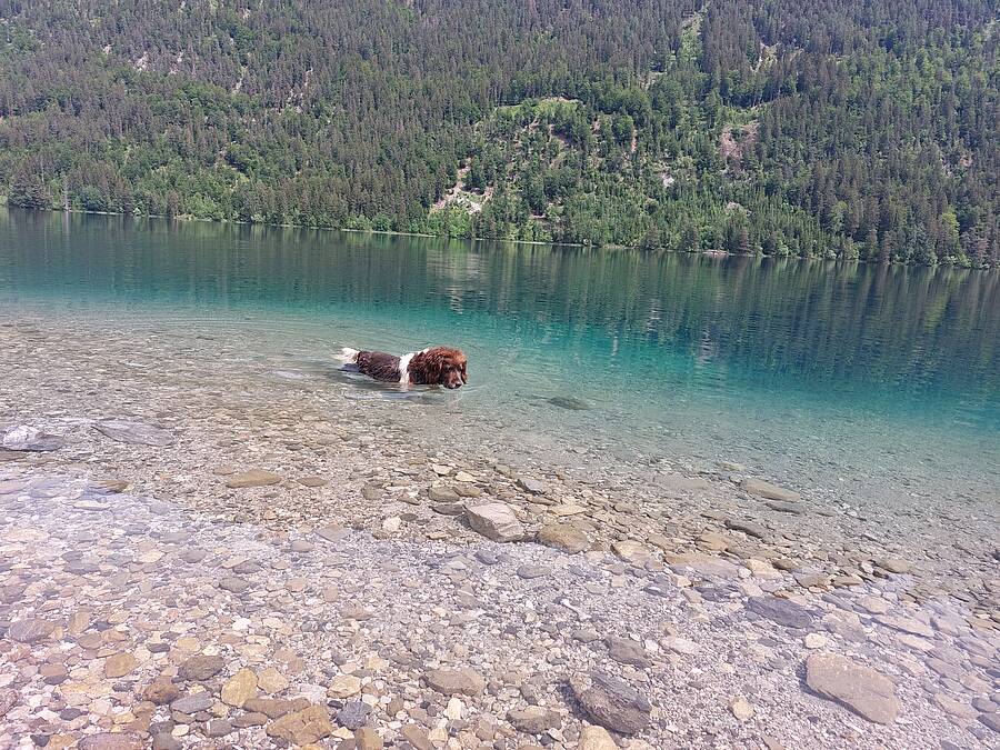 Genusstour am Weissensee