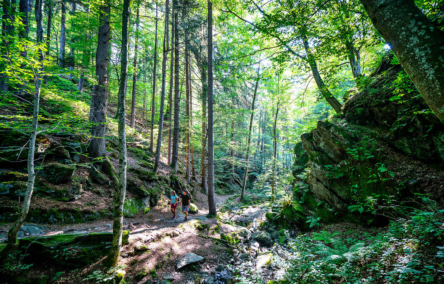 Slow Trail Roemerschlucht Velden am Wörthersee