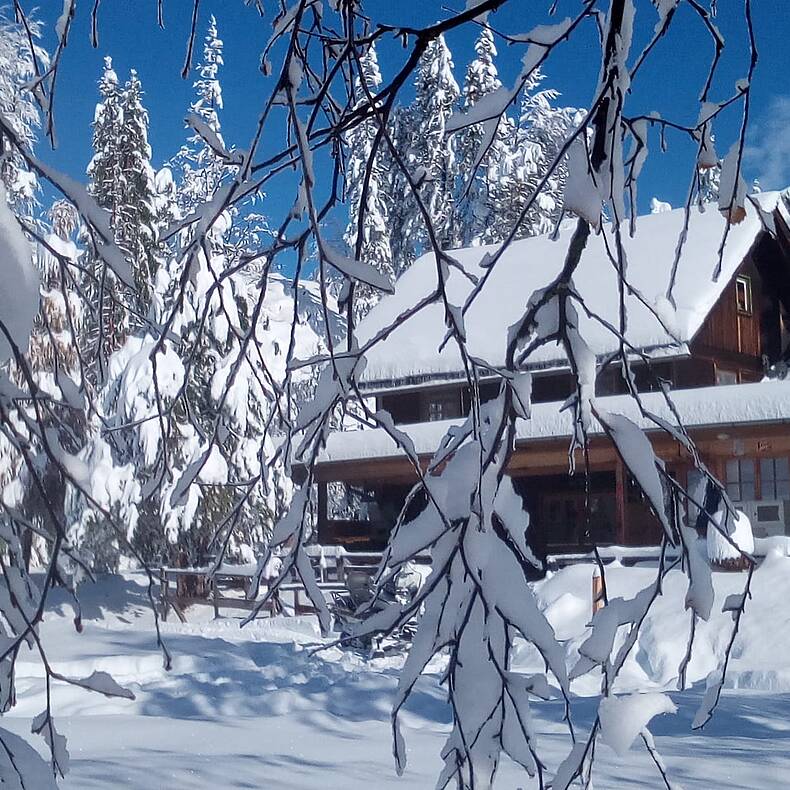 Naggler Alm Weissensee