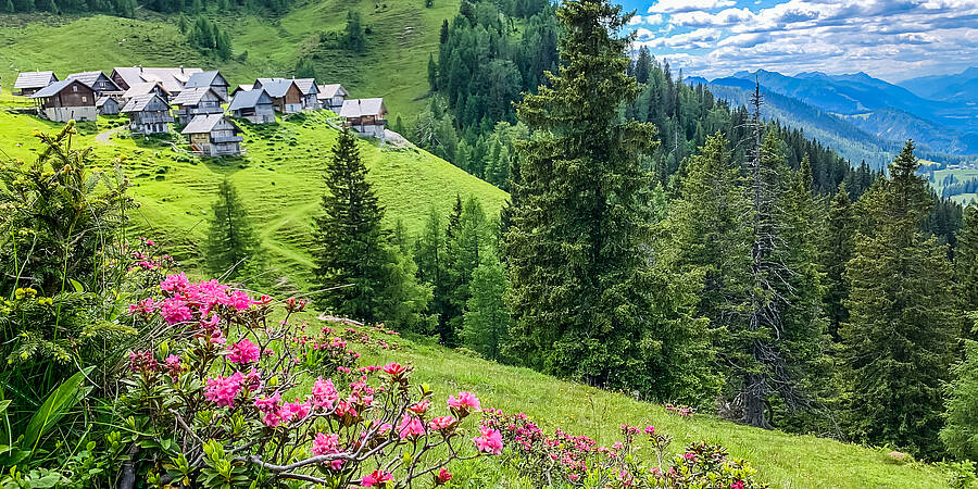 Karnische Milchstrasse Poludnig Alm