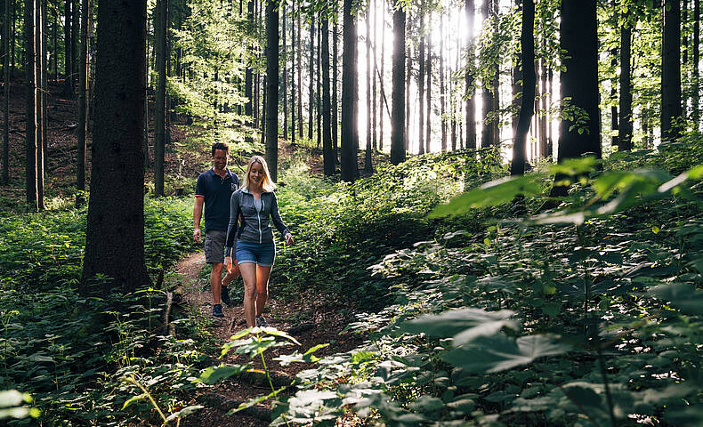 Slowtrail Kitzelberg am Klopeiner See 