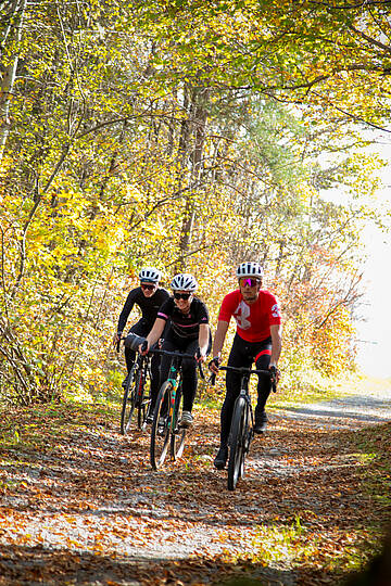 Gravelbike Wörthersee