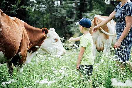 Vakantie op de bio-boerderij in Karinthi&euml;