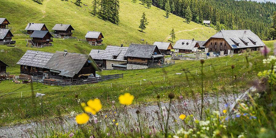 Karnische Milchstrasse Dellacher Almdorf