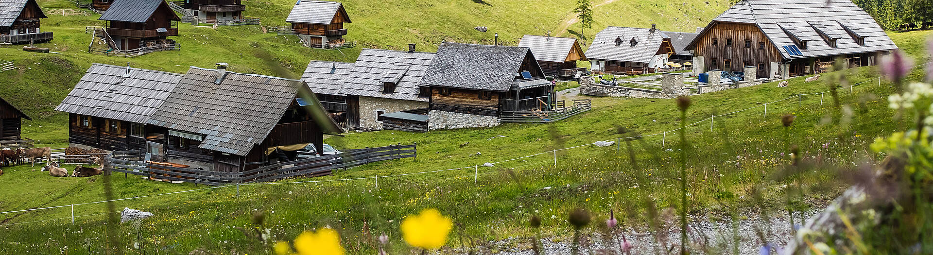 Karnische Milchstrasse Dellacher Almdorf