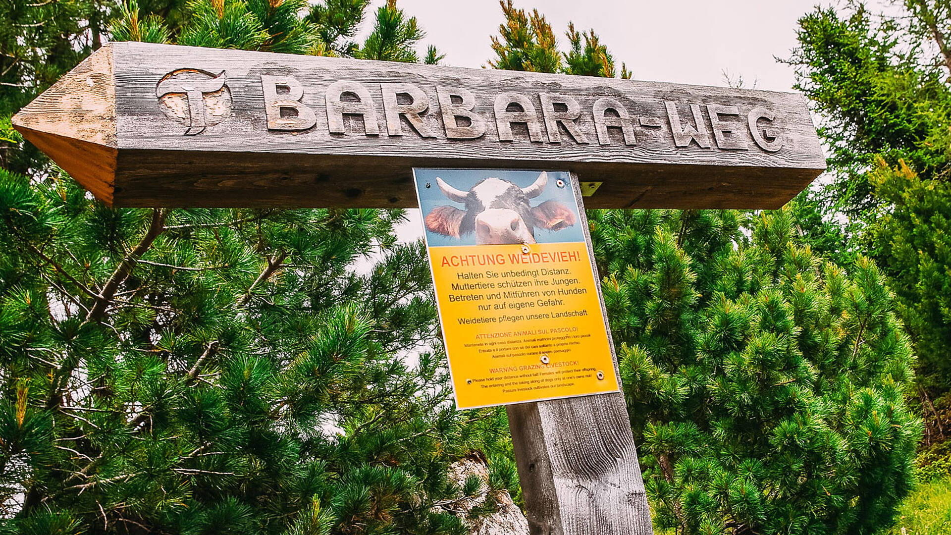 Auf den Spuren des Bergbaus in den Nockbergen 