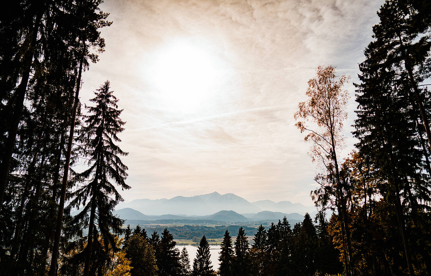 Landschaft Herbst Wald Klopeiner See - Südkärnten